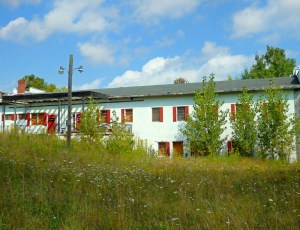 Villa Maria. Too much detail in all that shruibbery would have overwhelmed the building. I went with a somewhat softer look in which the color prevails. This somehow shows a harmony between the building and the green.