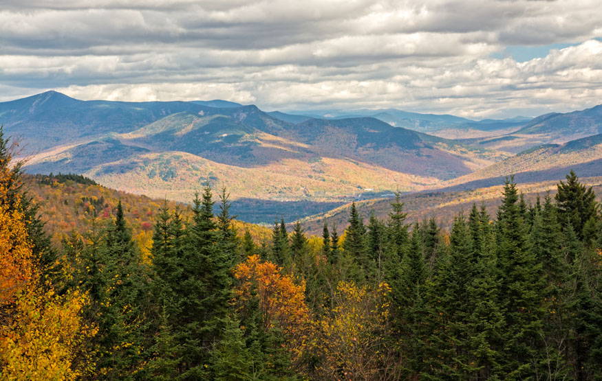 DSC-2788 ed Nik TC s