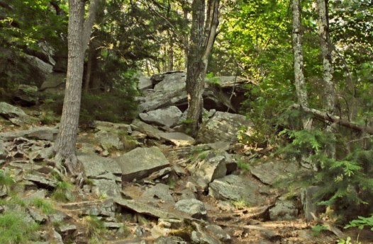 DSC4400 Top Fr Cntrysd s