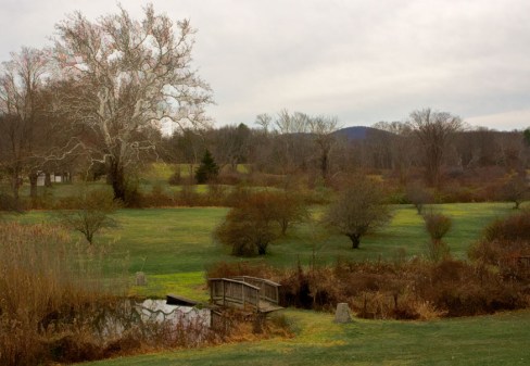 DSC-5443 ed BuzSim s