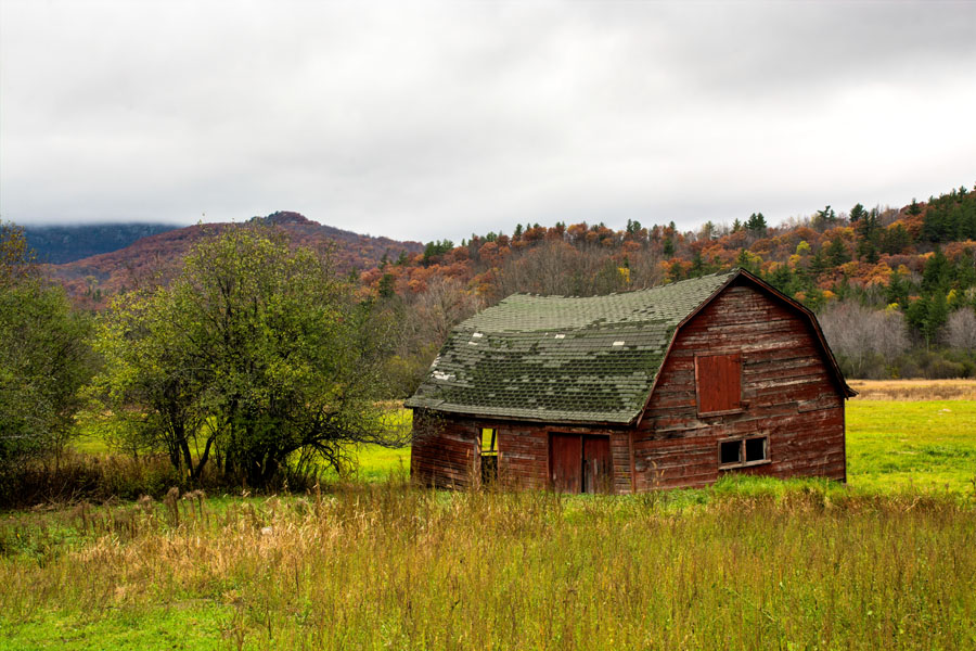 dsc6726-perf-clear-s