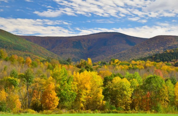 DSC0796 Top Imp less Opacity s