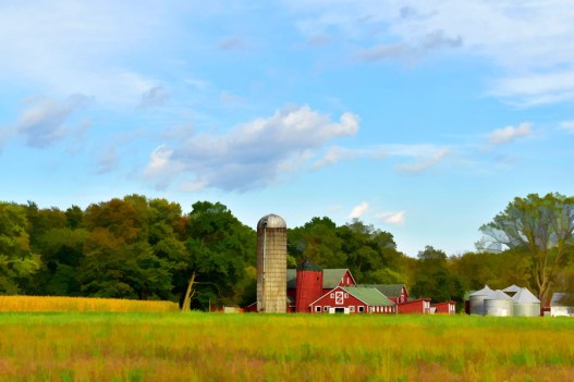 Oct DSC0782 Nik Viv o BuzSim s