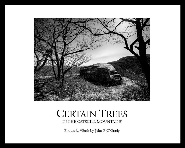 Certain-Trees-Cover-jpeg-1