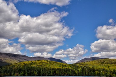 DSC0521 TC o Viv str s