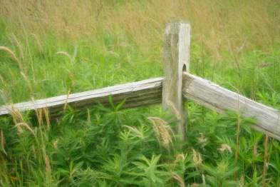 de Flon_N_With Open Arms_Digital photography_ 11x14